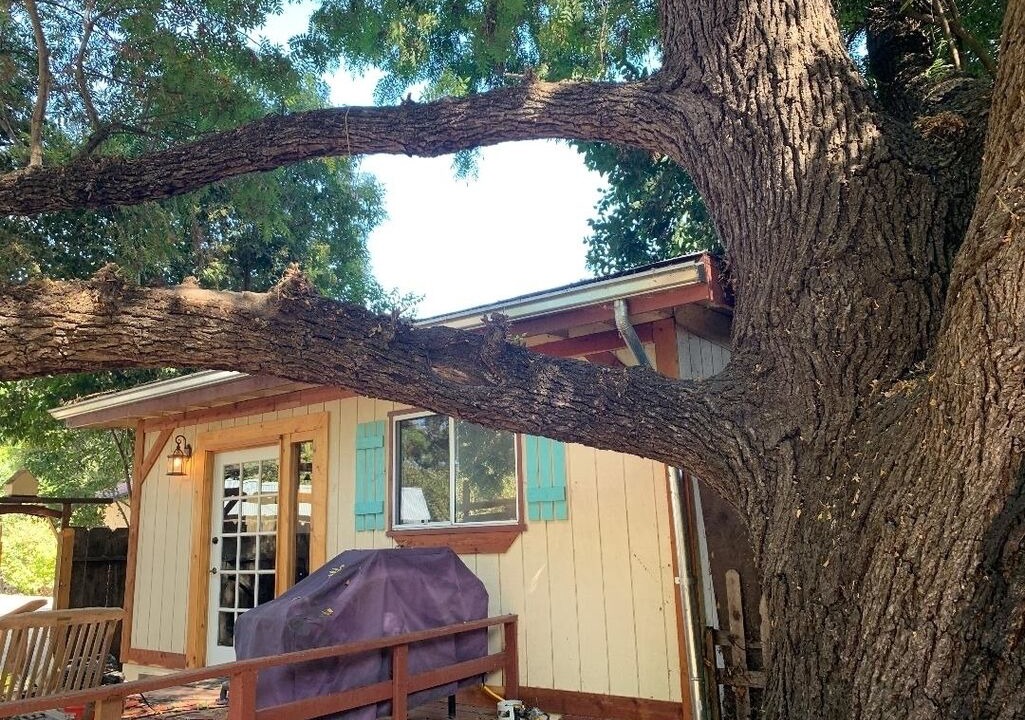 Photo of Others in Atascadero