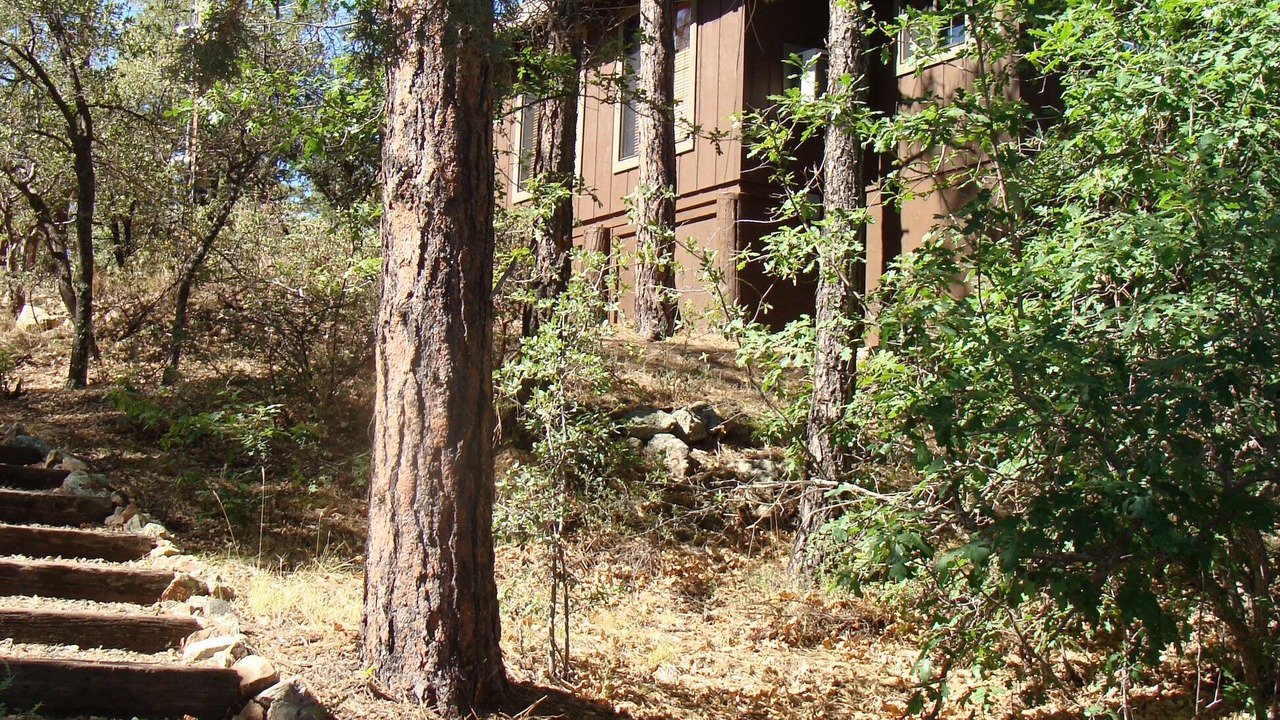 Photo of Bedroom in Prescott