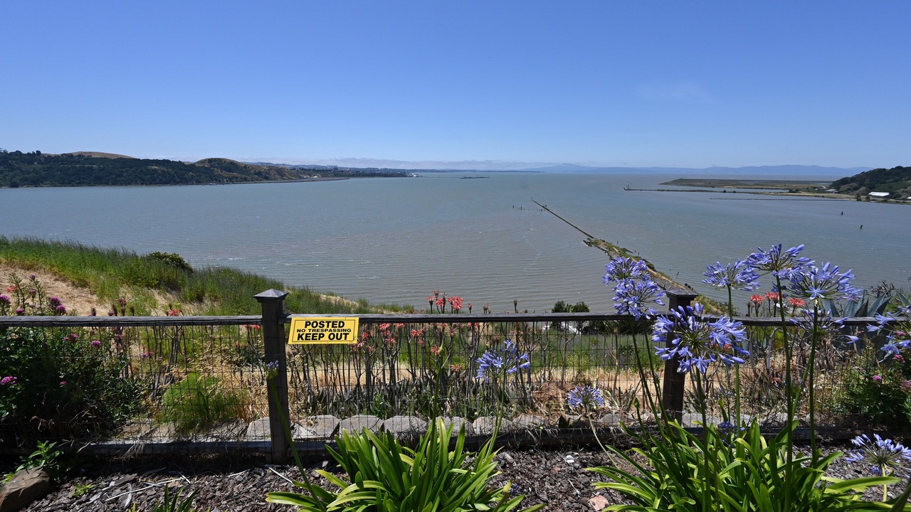 Photo of Outdoor in Vallejo