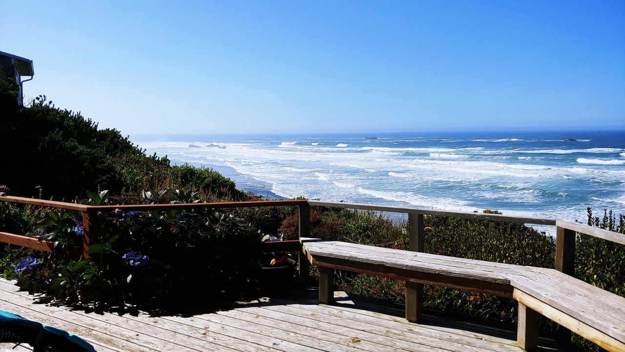 Photo of Others in Seal Rock