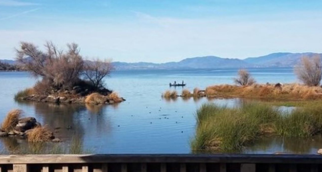 Photo of Others in Soda Bay