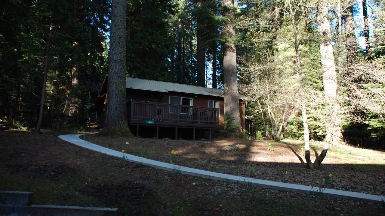 Photo of Others in Fish Camp