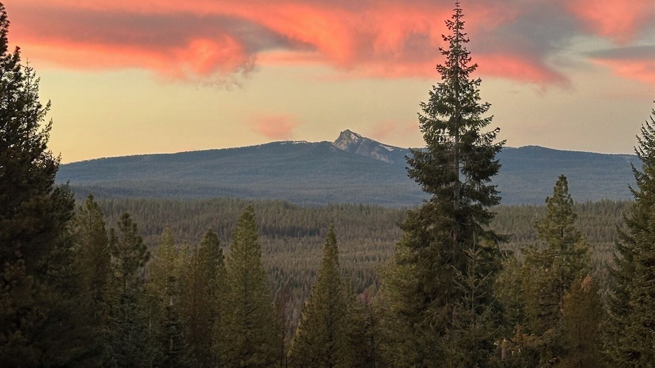 Photo of Others in Crescent