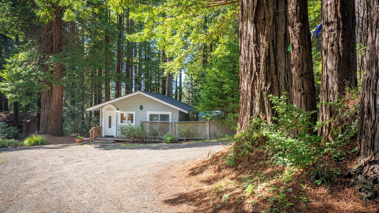 Photo of Others in Mendocino