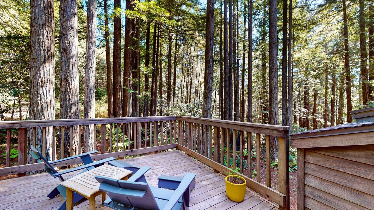 Photo of Others in Sea Ranch