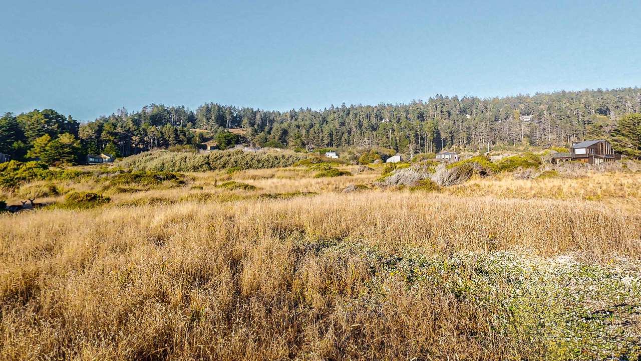 Photo of Others in Sea Ranch