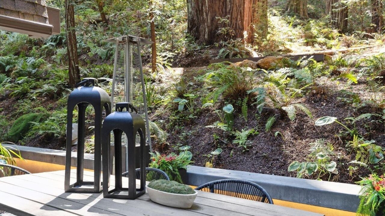 Photo of Outdoor in San Geronimo