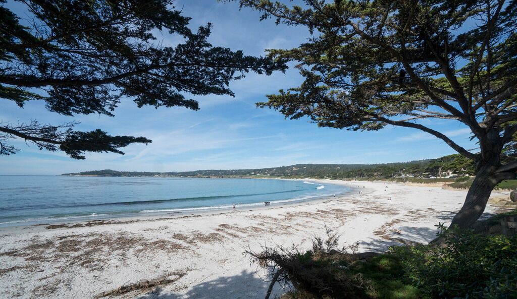Photo of Others in Carmel Point