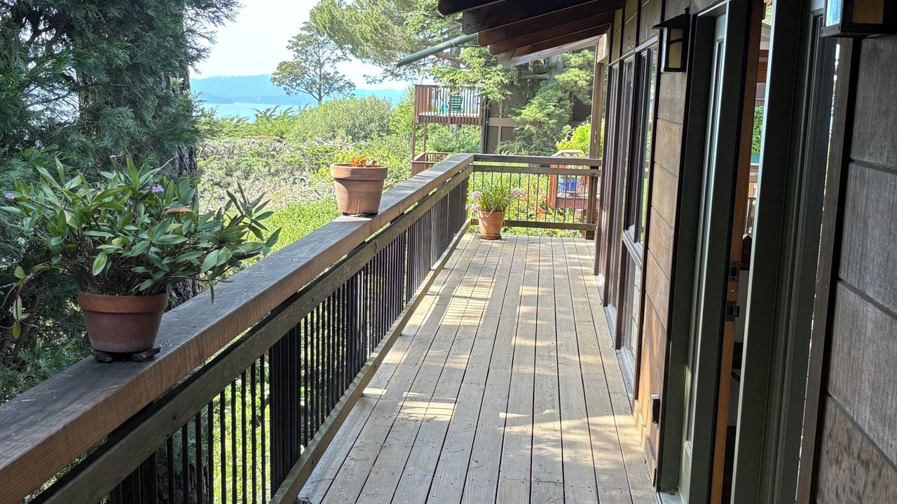 Photo of Outdoor in Piedmont Pines