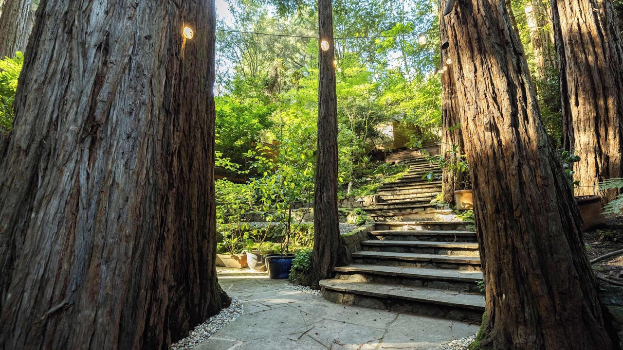 Photo of Outdoor in Mill Valley
