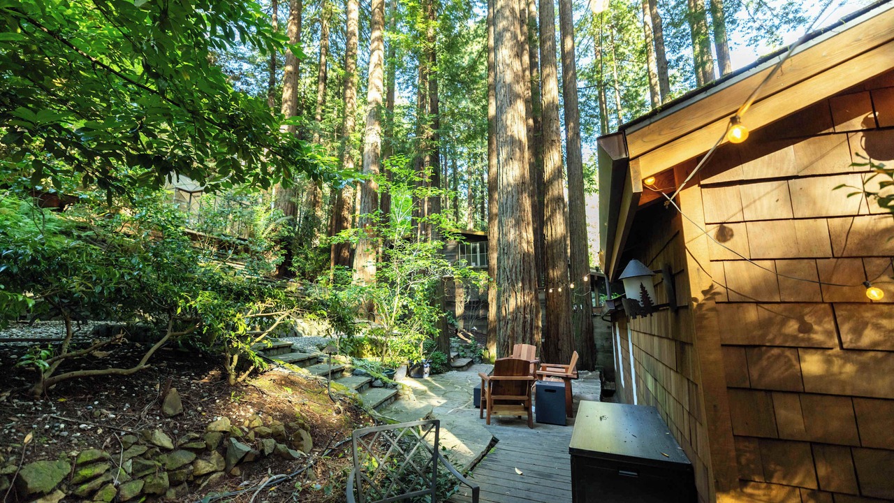 Photo of Outdoor in Mill Valley