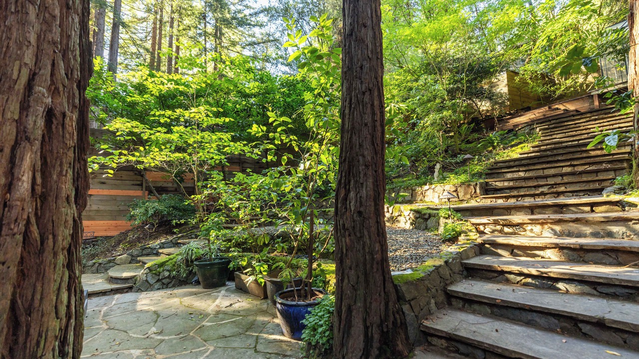 Photo of Outdoor in Mill Valley