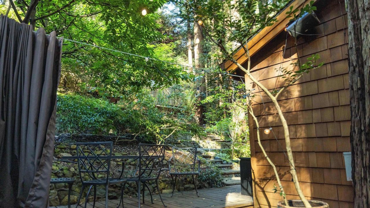 Photo of Outdoor in Mill Valley