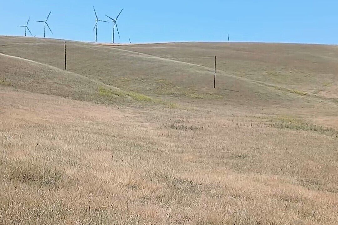 Photo of Others in Alameda County