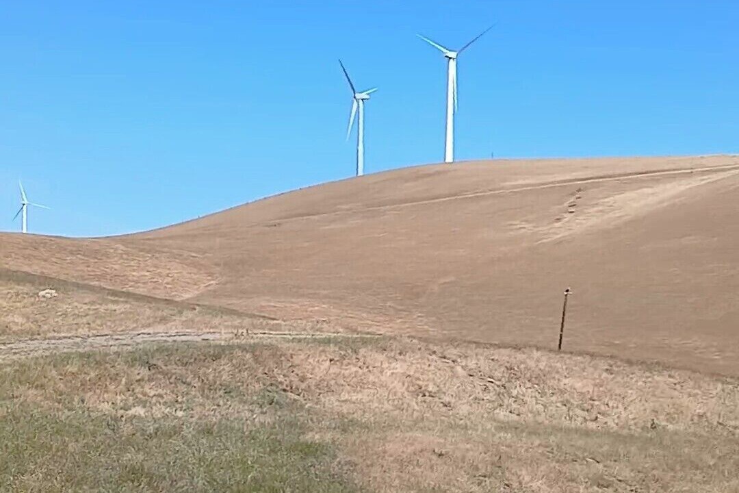 Photo of Others in Livermore