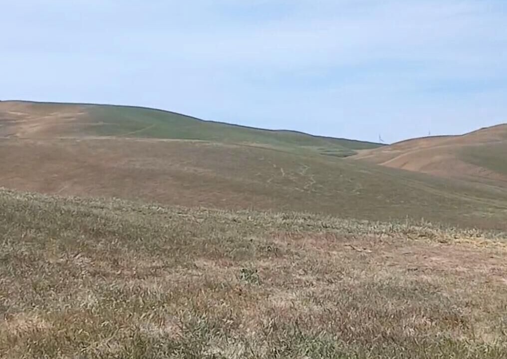 Photo of Others in Livermore