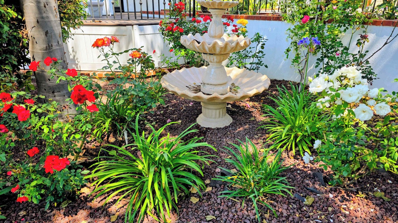 Photo of Outdoor in Granite Hills