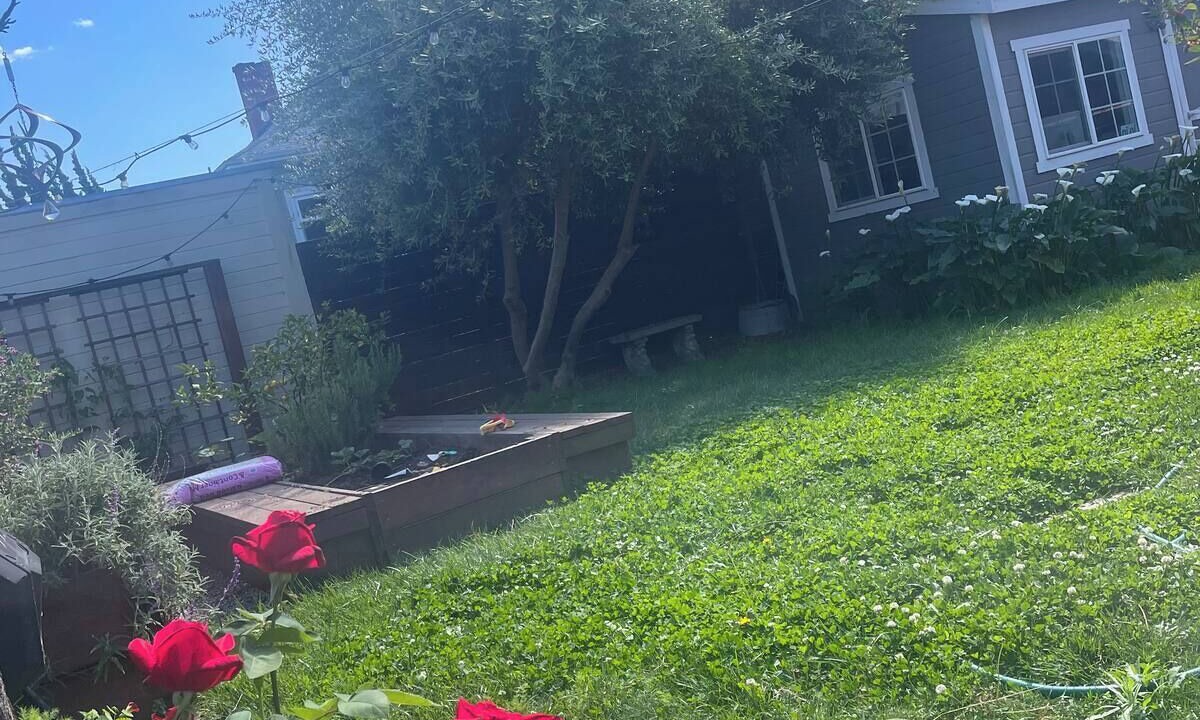 Photo of Outdoor in Bushrod