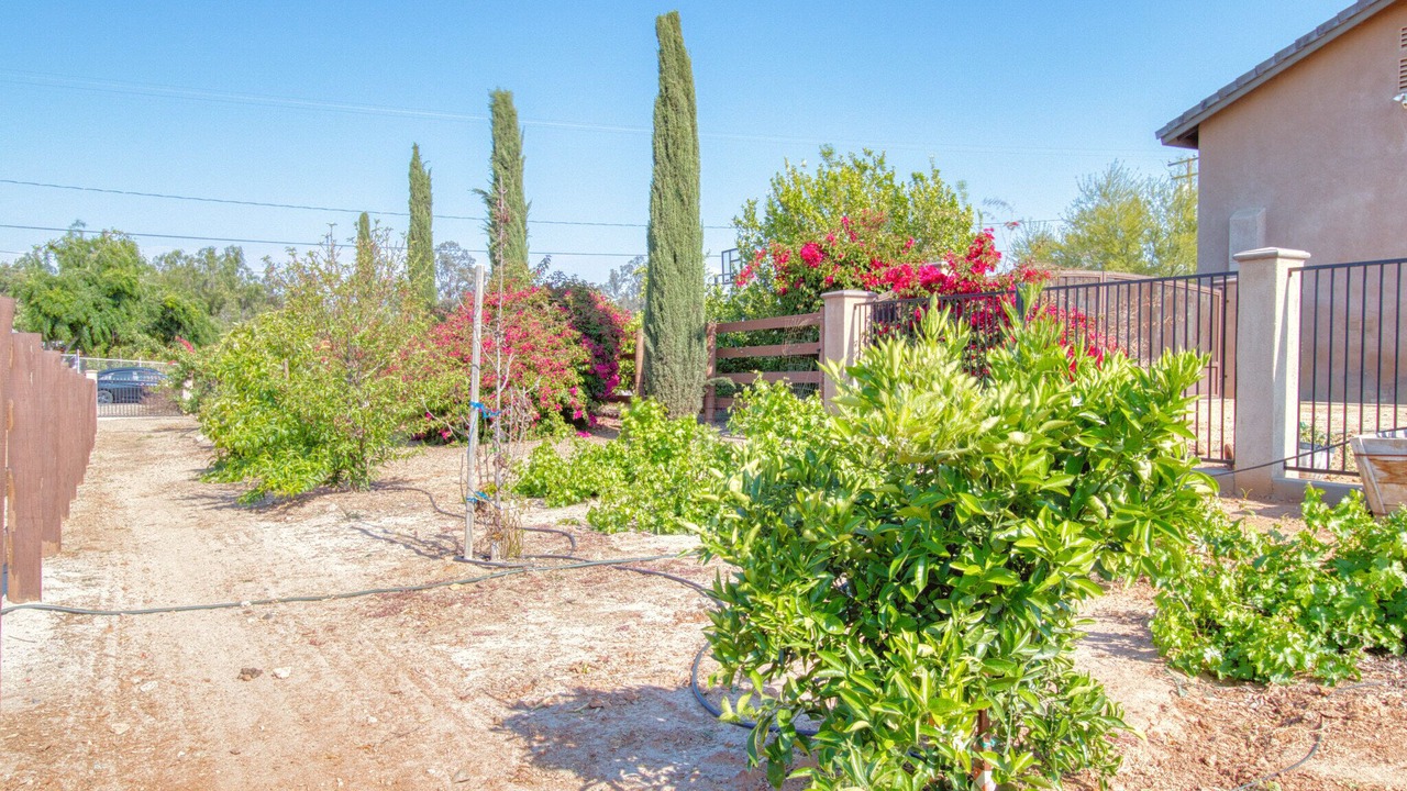 Photo of Outdoor in Woodcrest