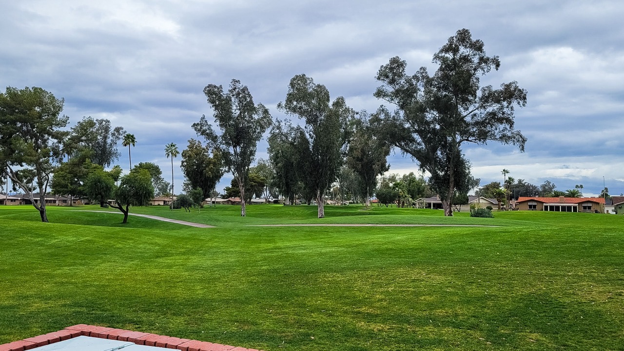Photo of Outdoor in Sunland Village