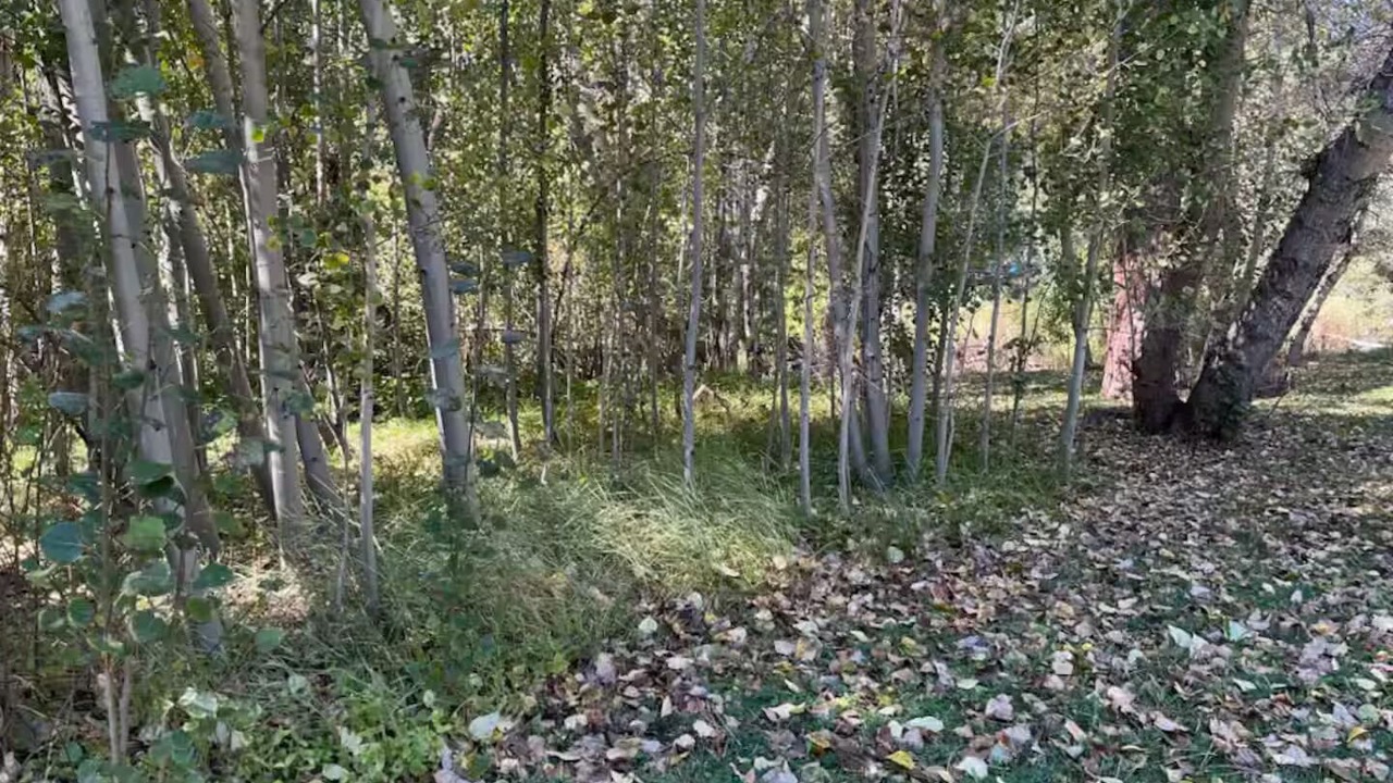 Photo of Others in Markleeville