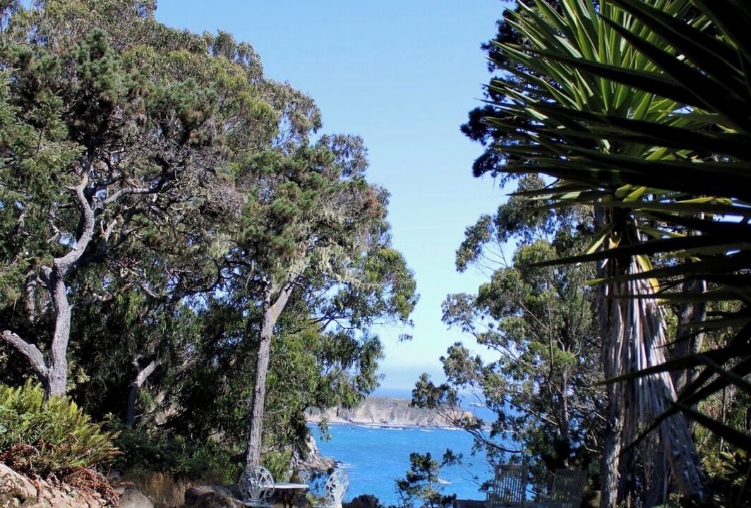 Photo of Outdoor in Timber Cove