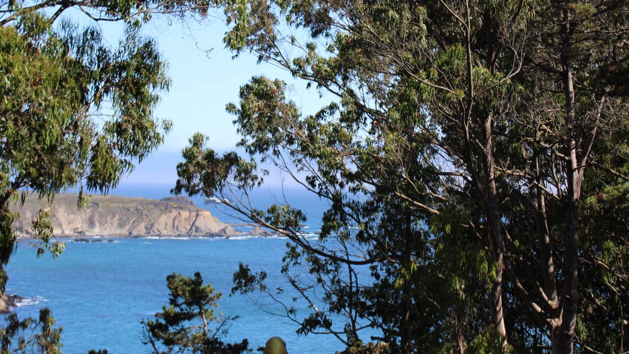 Photo of Others in Timber Cove