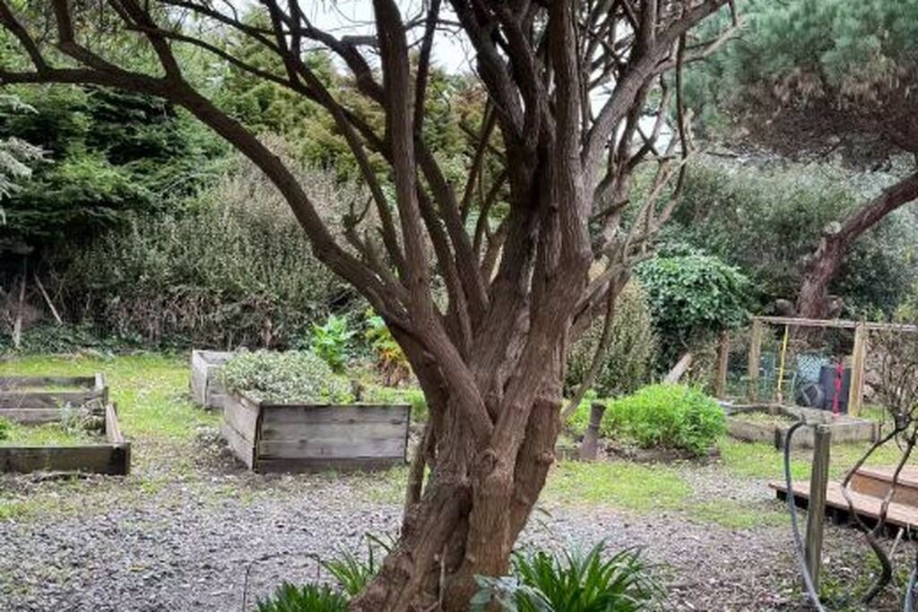 Photo of Outdoor in Albion