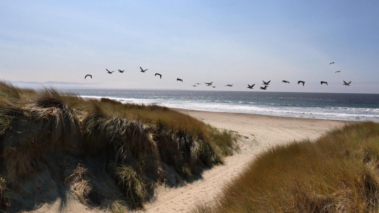 Photo of Others in Pajaro Dunes