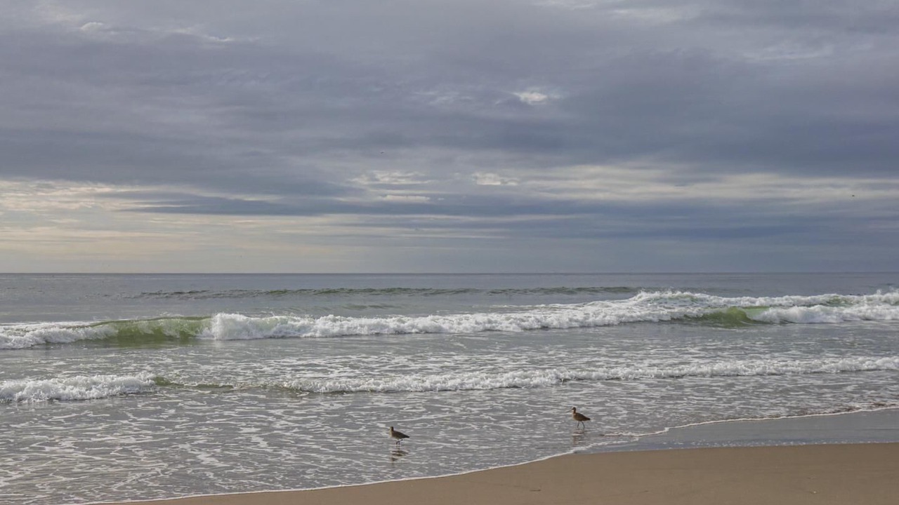 Photo of Others in Pajaro Dunes