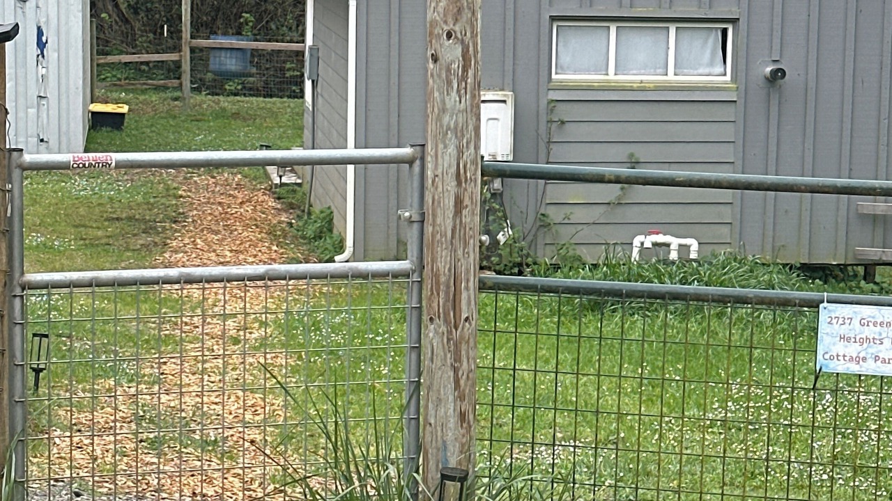 Photo of Outdoor in Freshwater