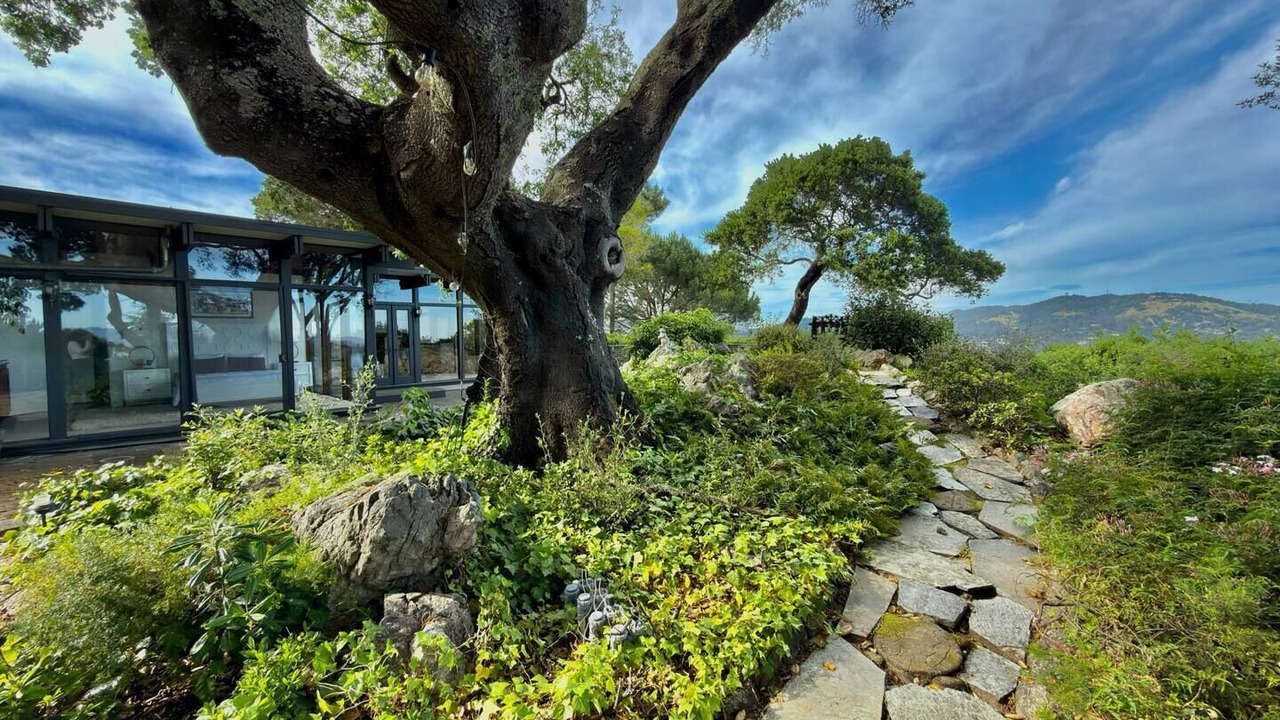 Photo of Outdoor in San Rafael