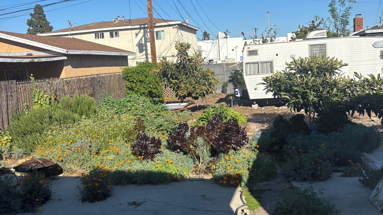 Photo of Outdoor in Harbor