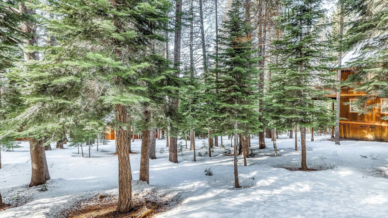 Photo of Outdoor in Truckee