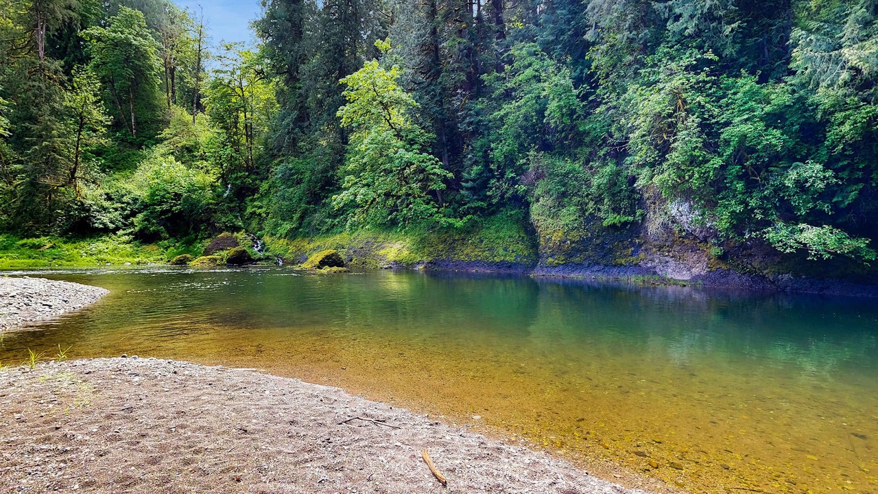Photo of Others in Washougal