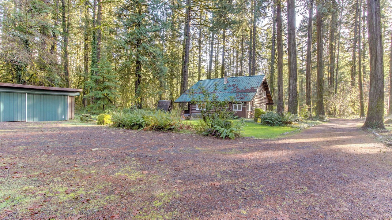 Photo of Outdoor in McKenzie Bridge