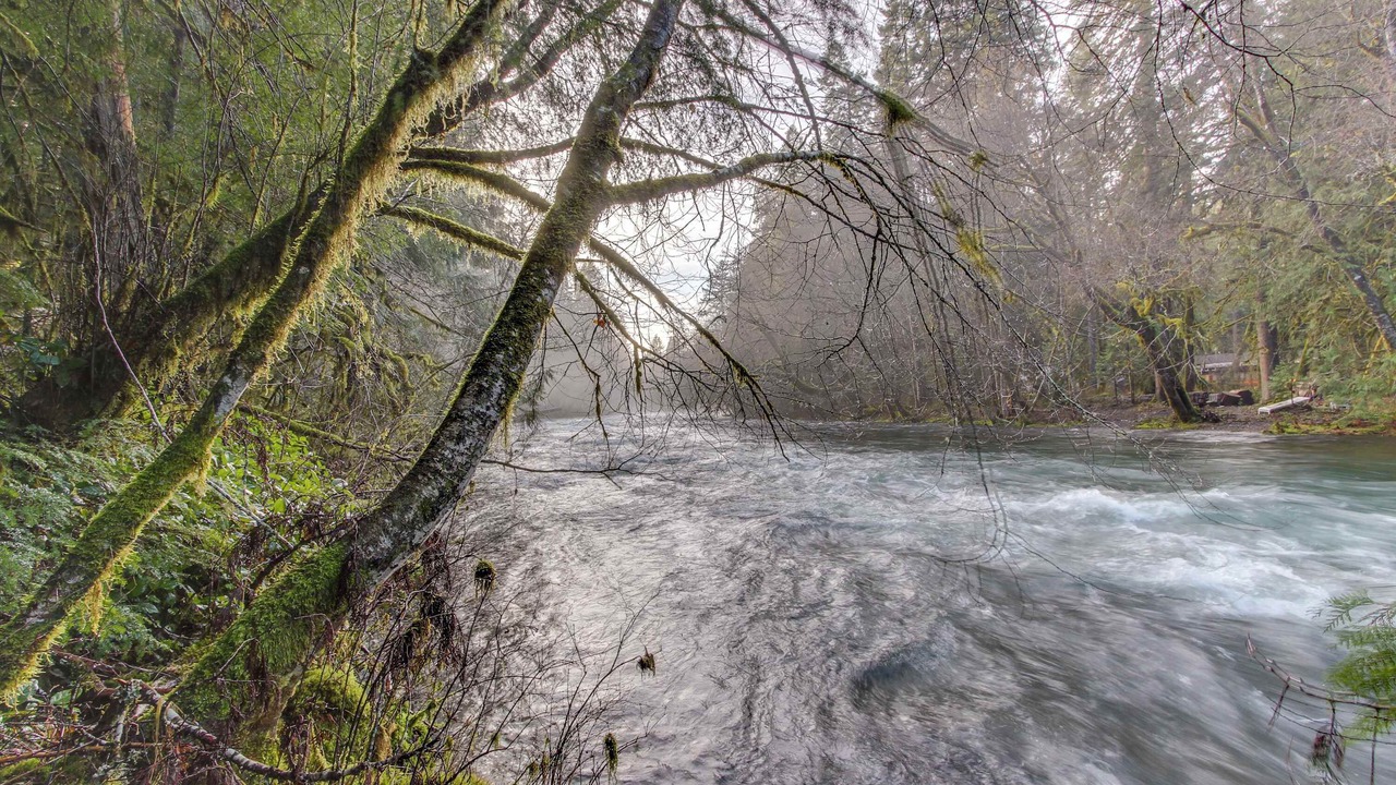 Photo of Others in McKenzie Bridge