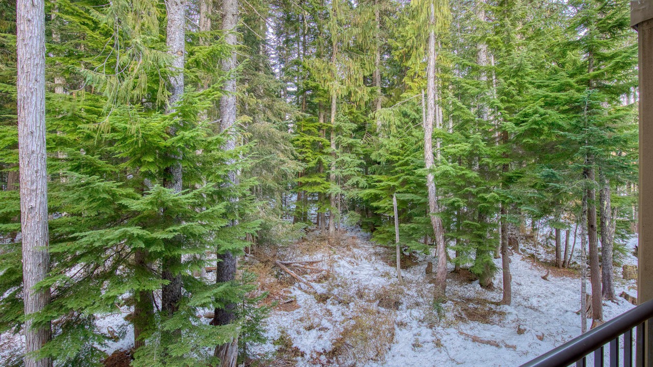 Photo of Outdoor in Government Camp