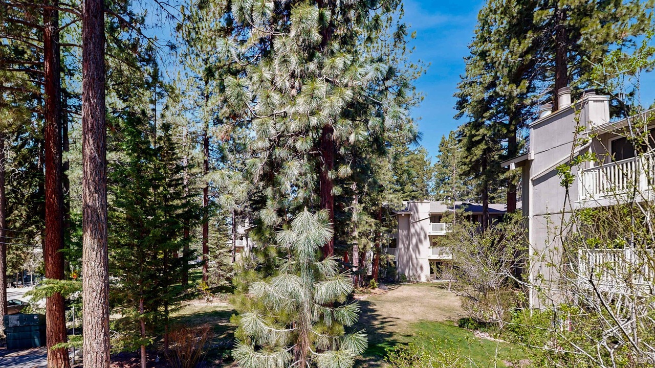 Photo of Outdoor in Incline Village