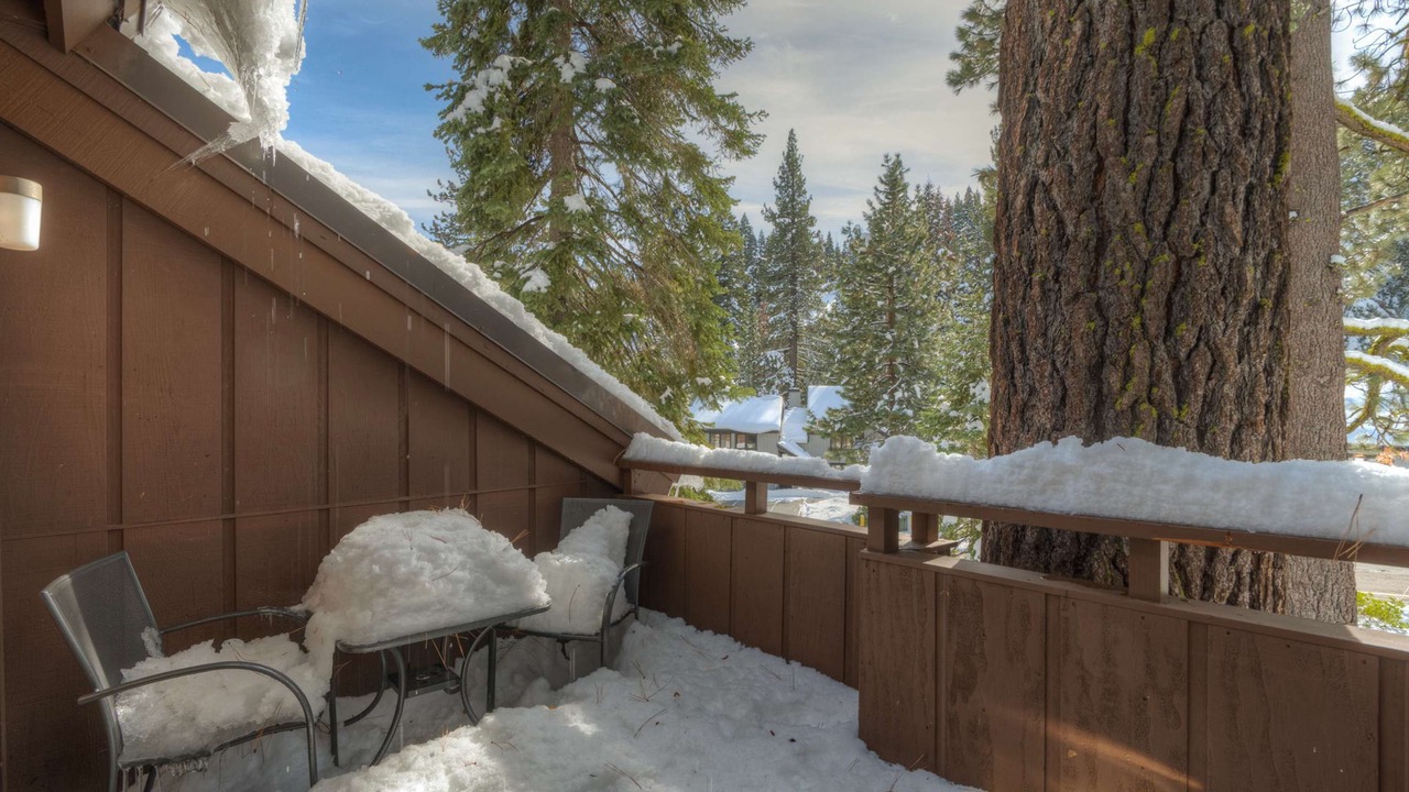 Photo of Outdoor in Tahoe Woods
