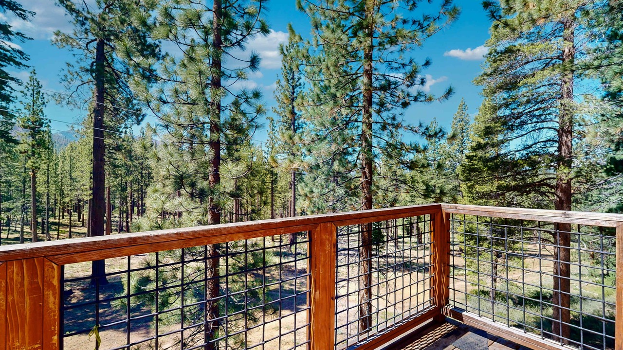 Photo of Outdoor in Montgomery Estates