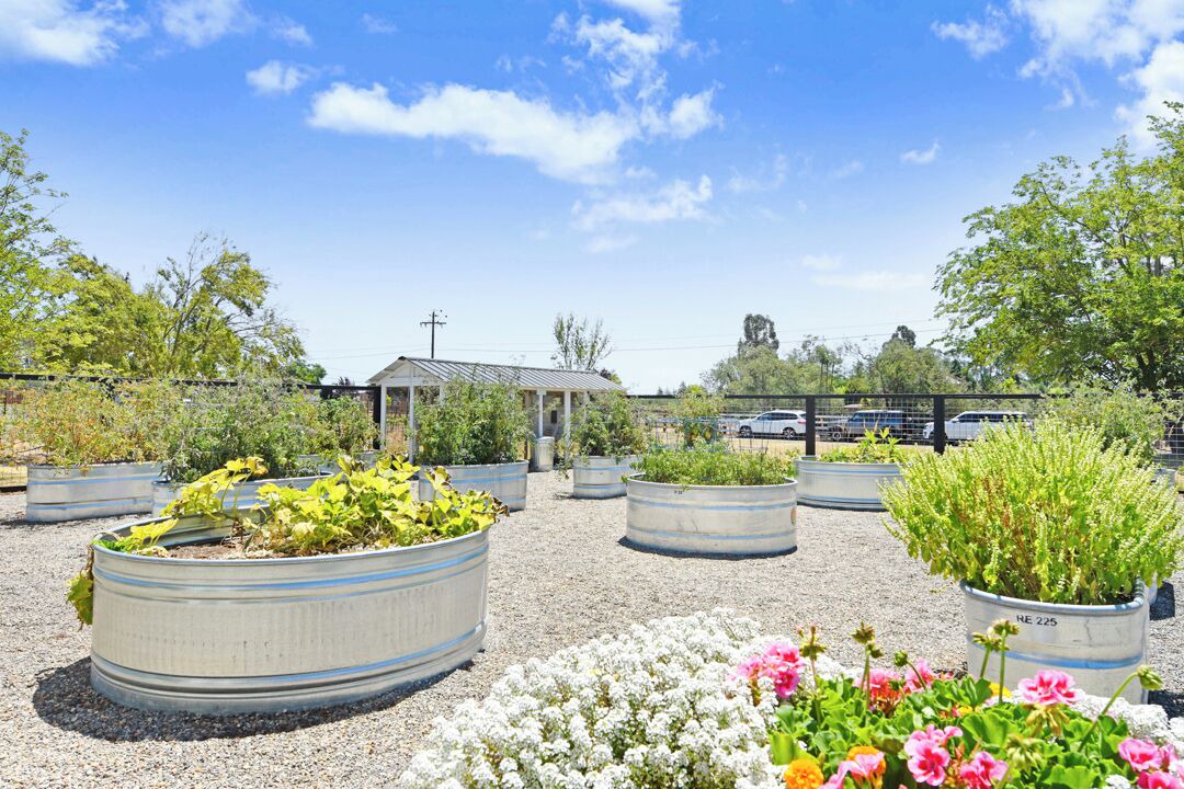 Photo of Outdoor in Sonoma