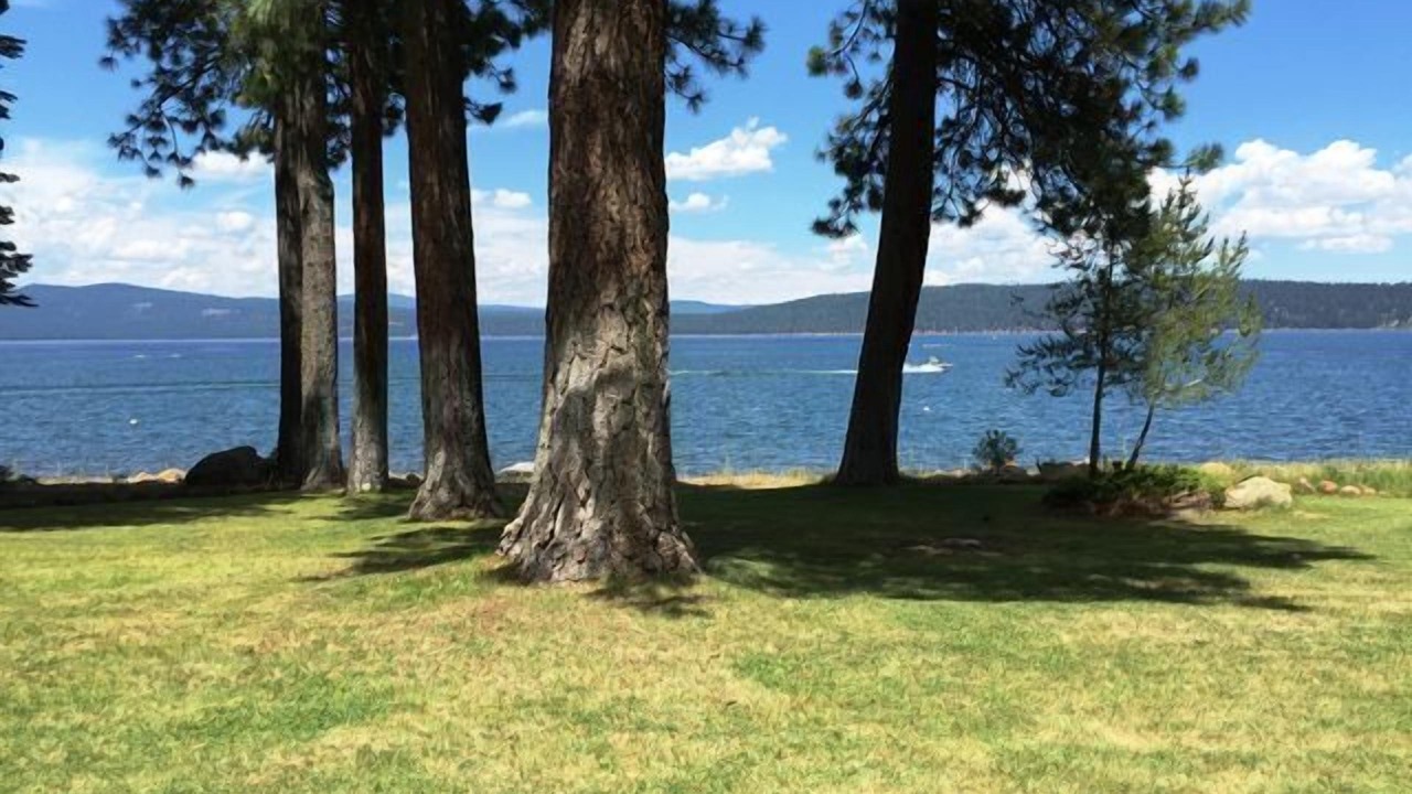 Photo of Others in Lake Almanor West