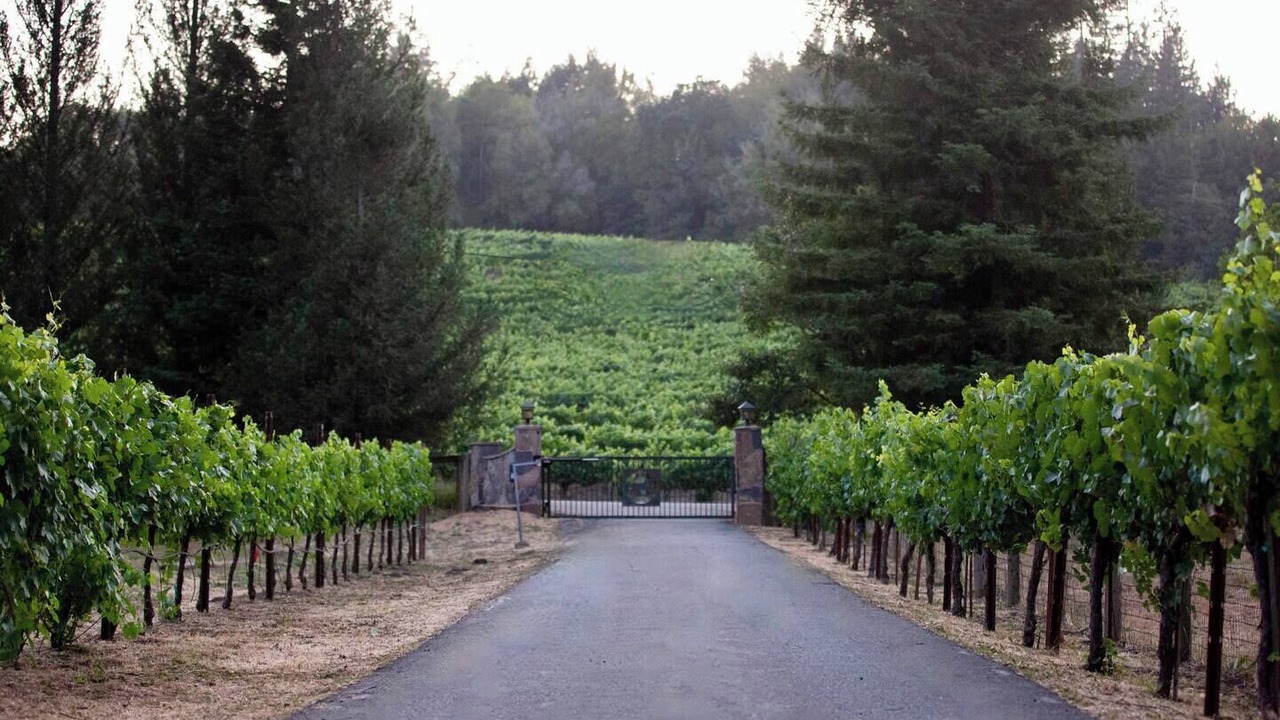 Photo of Others in Freestone