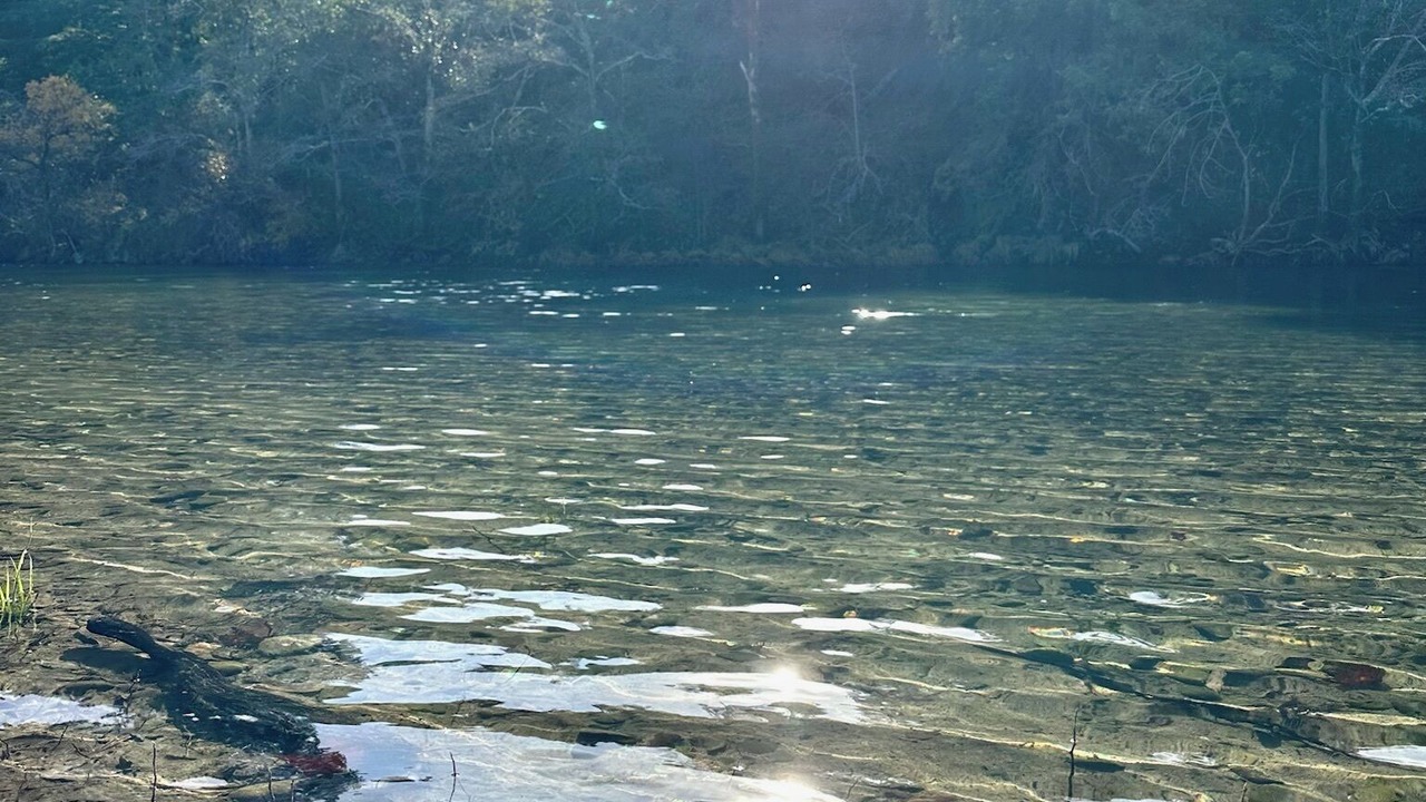 Photo of Others in Myers Flat