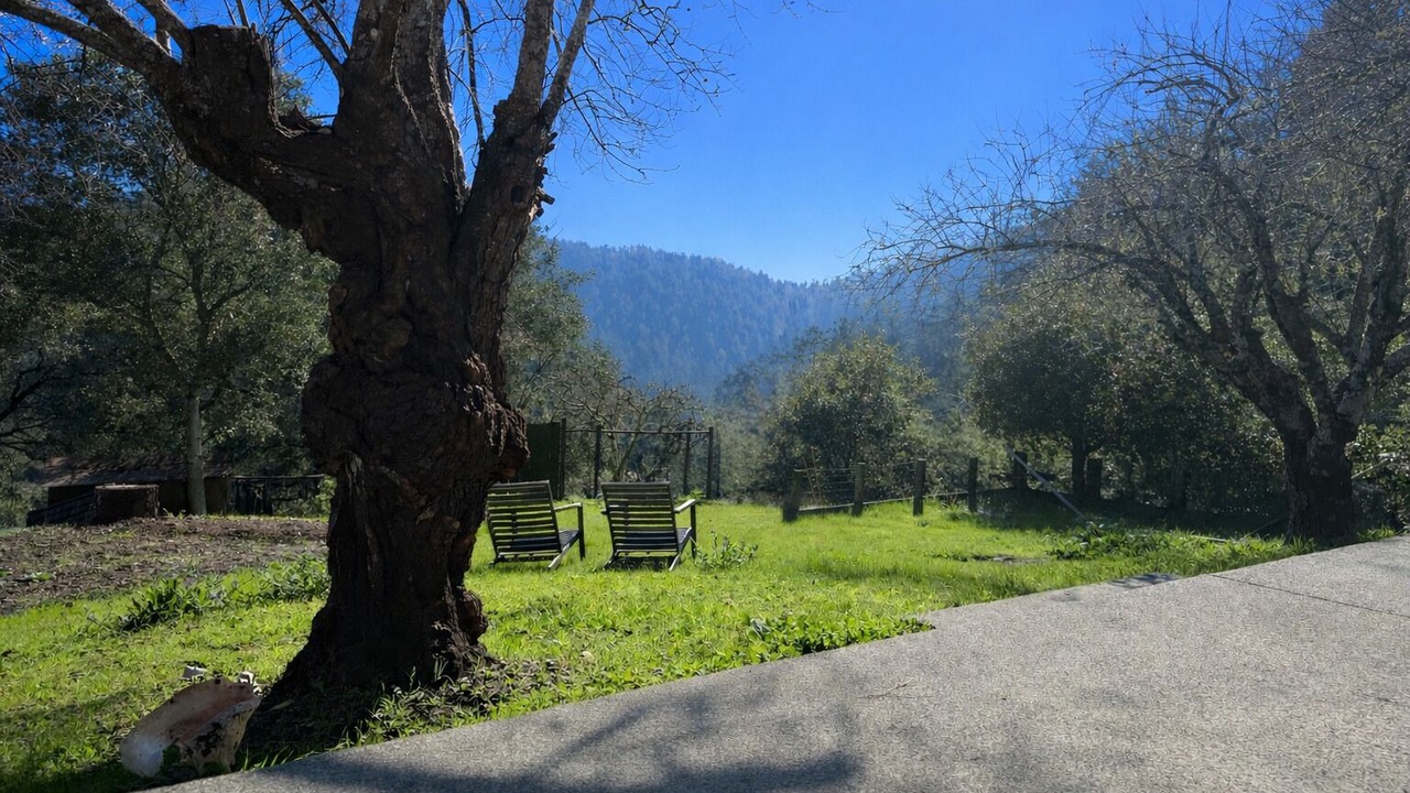 Photo of Outdoor in Lagunitas