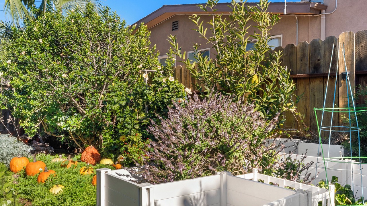 Photo of Outdoor in Bonita
