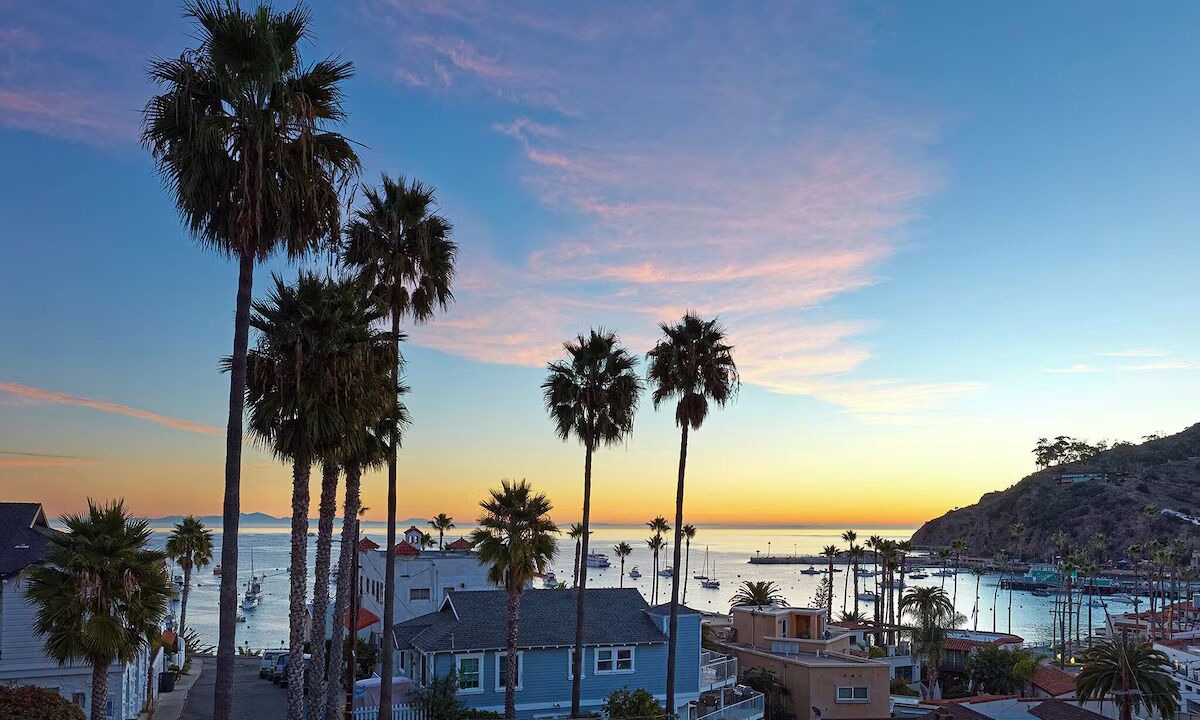 Photo of Outdoor in Avalon