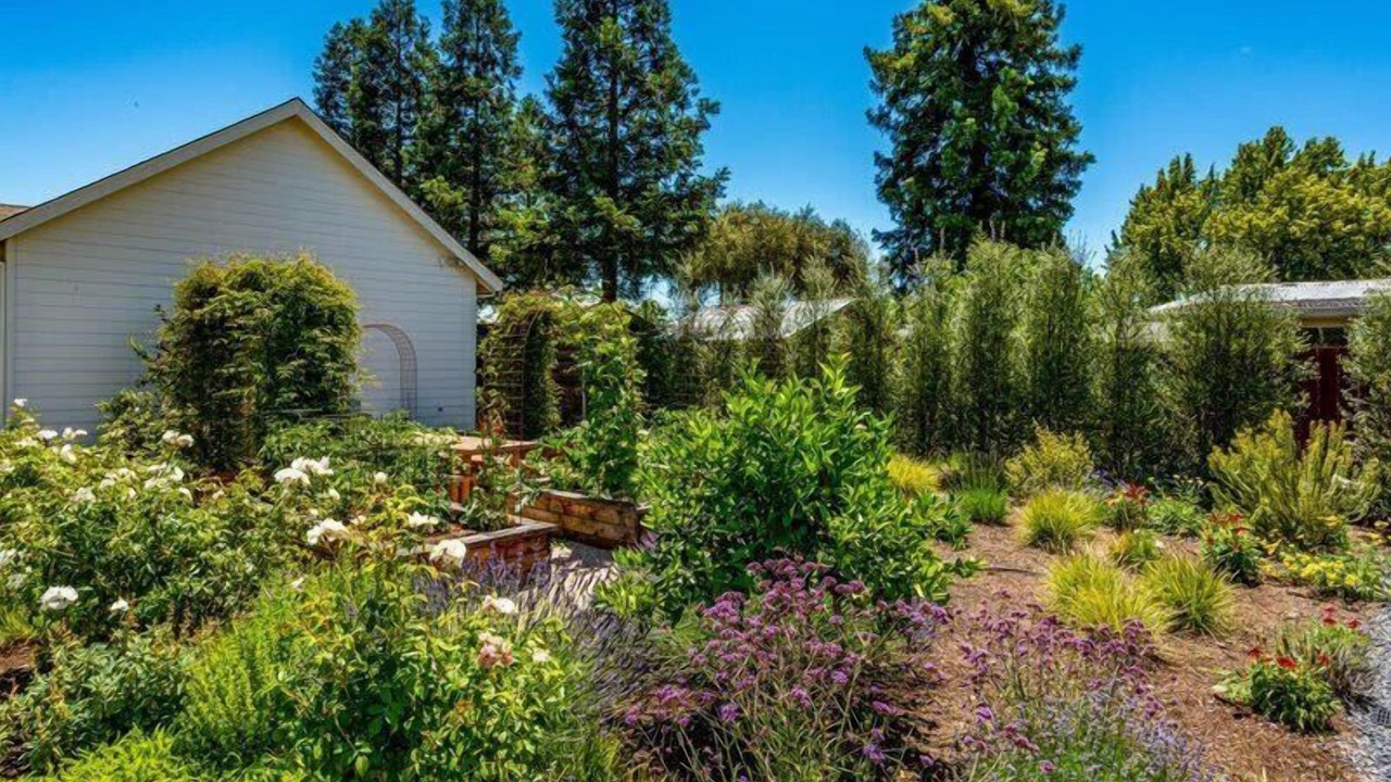 Photo of Outdoor in Healdsburg