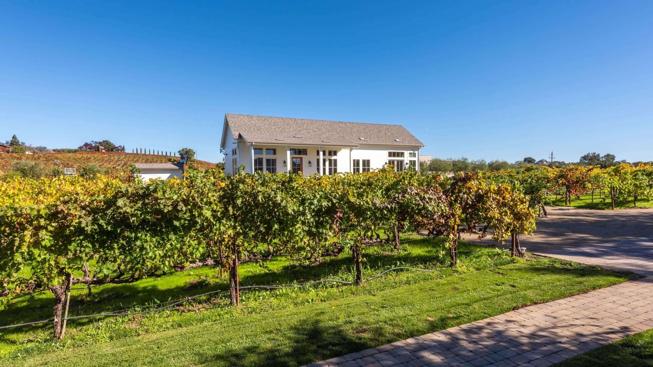 Photo of Outdoor in Healdsburg